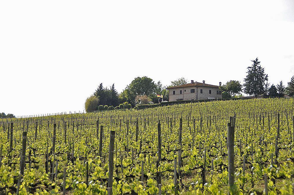 Il Colombaio, Siena -Appartamenti E Camere-Isola d'Arbia エクステリア 写真