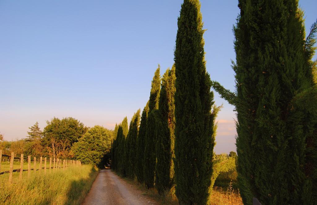 Il Colombaio, Siena -Appartamenti E Camere-Isola d'Arbia エクステリア 写真