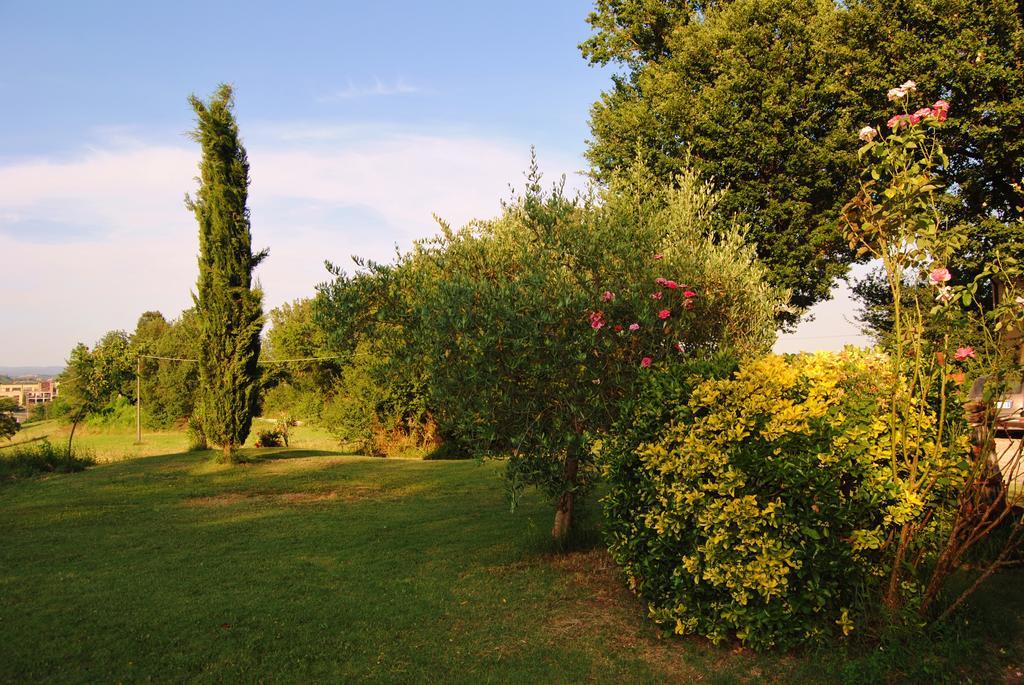 Il Colombaio, Siena -Appartamenti E Camere-Isola d'Arbia エクステリア 写真