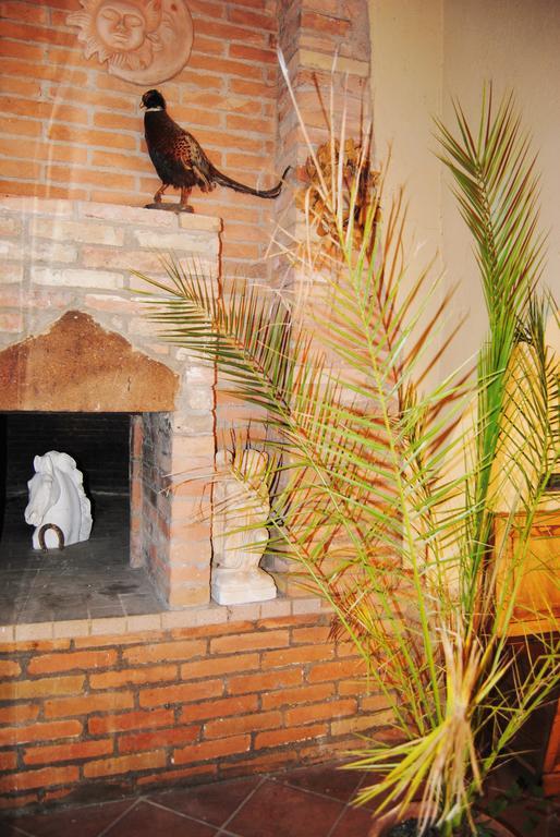Il Colombaio, Siena -Appartamenti E Camere-Isola d'Arbia エクステリア 写真