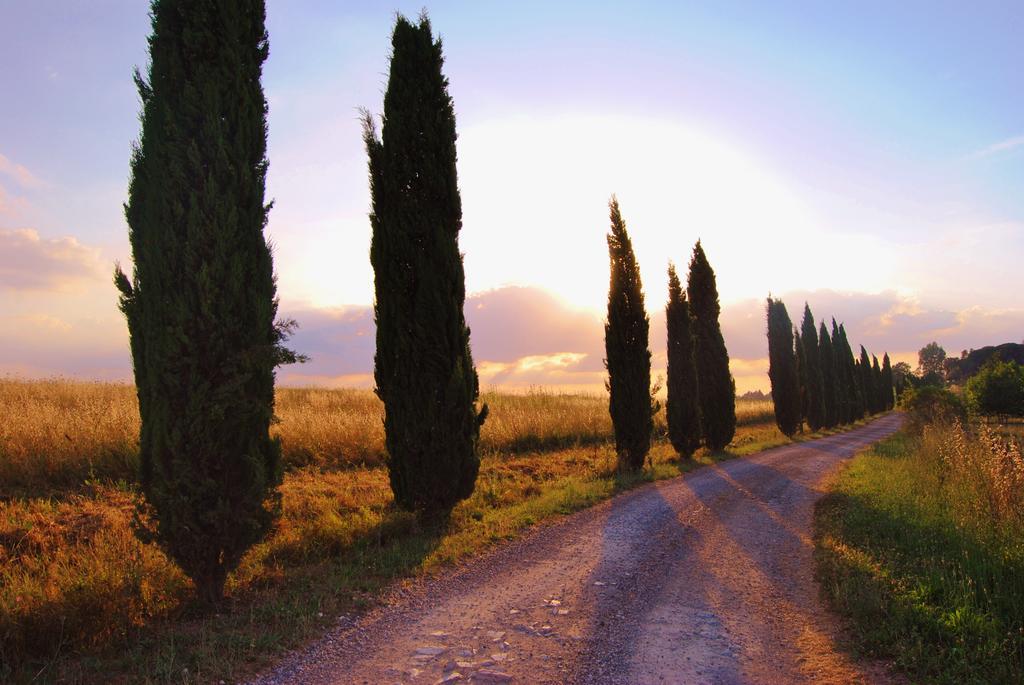 Il Colombaio, Siena -Appartamenti E Camere-Isola d'Arbia エクステリア 写真